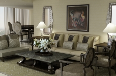 5 star Living & dining designs (18)