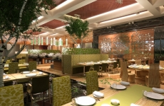 5 star Restaurant designs (22)